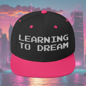 Snapback Hat